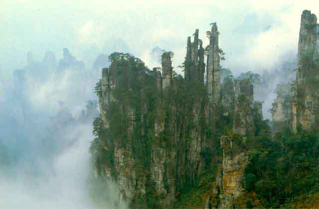 ZhJiaj